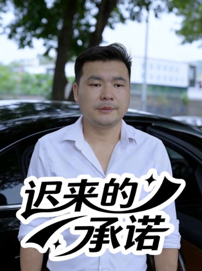 迟来的承诺封面