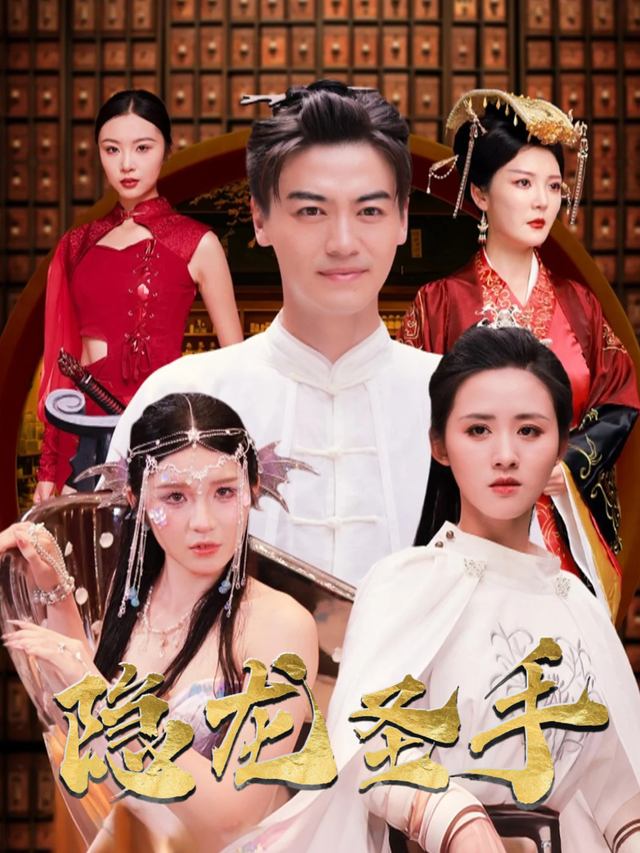 隐龙圣手封面
