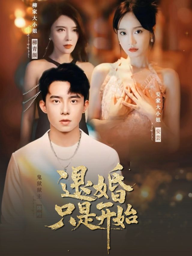 退婚只是开始封面