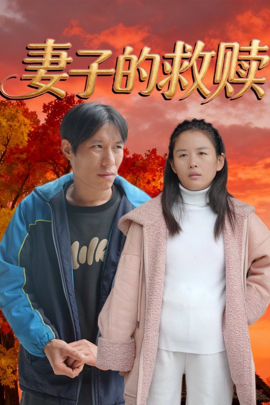 妻子的救赎封面