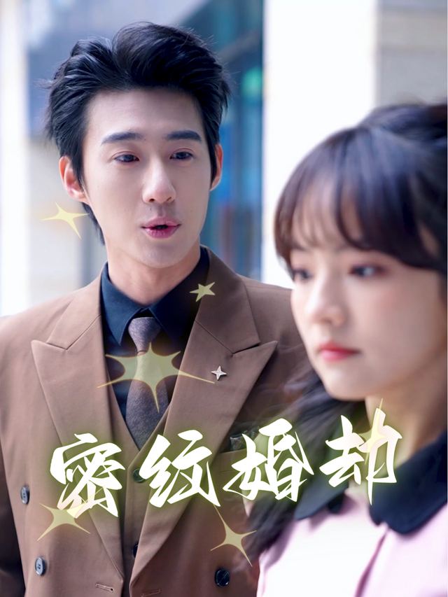 密纹婚劫封面