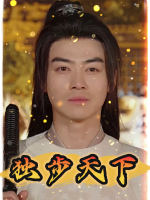 独步天下封面