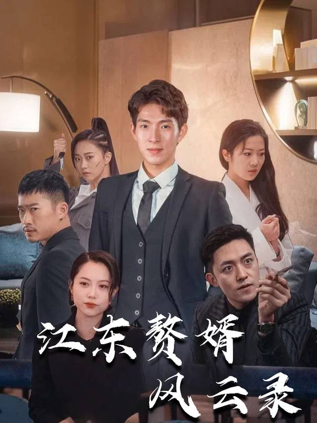江东赘婿风云录封面