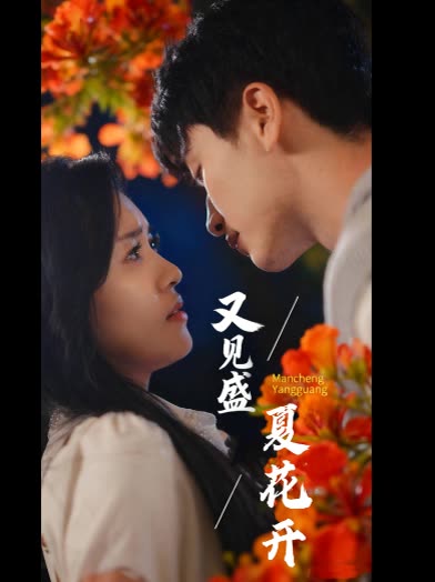 又见盛夏花开封面