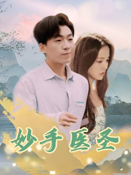 妙手医圣封面