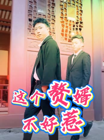 这个赘婿不好惹封面