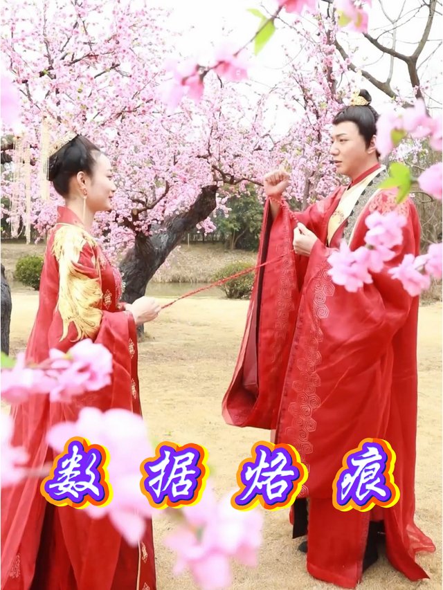 数据烙痕封面