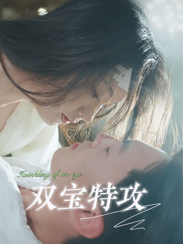 双宝特攻封面