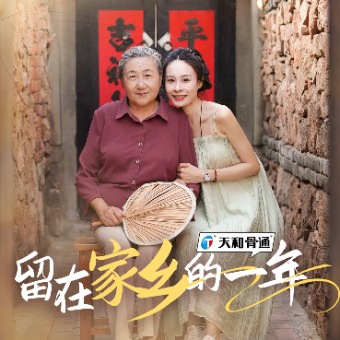 留在家乡的一年封面
