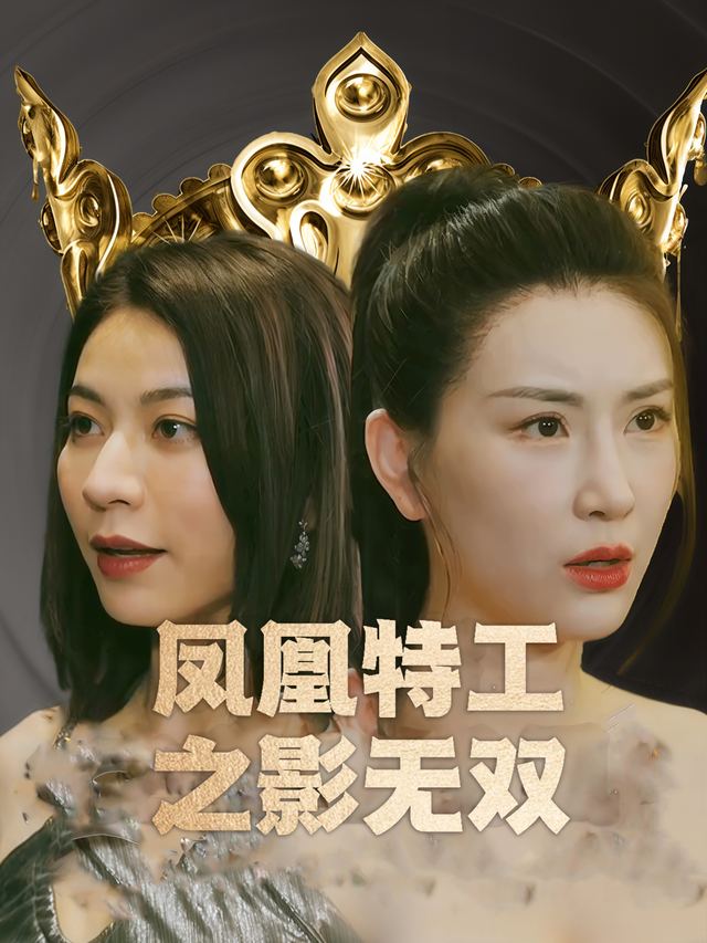 凤凰特工之影无双封面