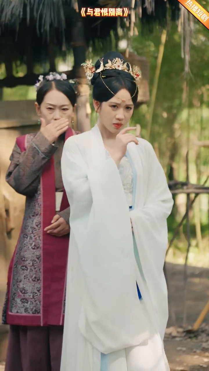 与君恨別离封面