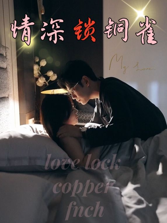 情深锁铜雀封面