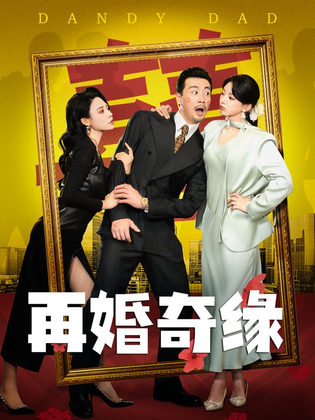 再婚奇缘封面