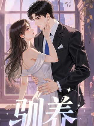 驯养-魔方封面