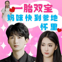 一胎双宝妈咪快到爹地怀里封面