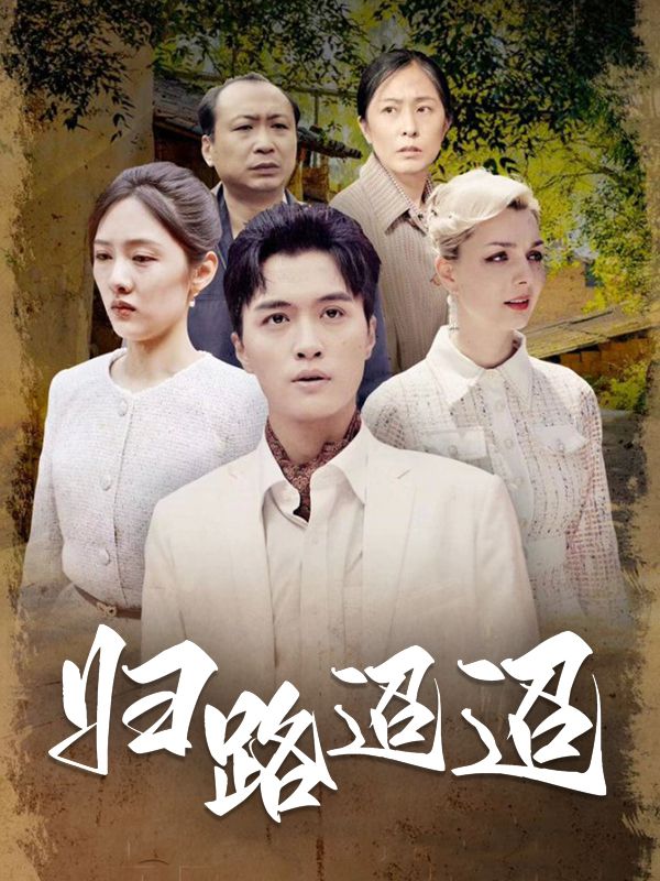 归路迢迢封面