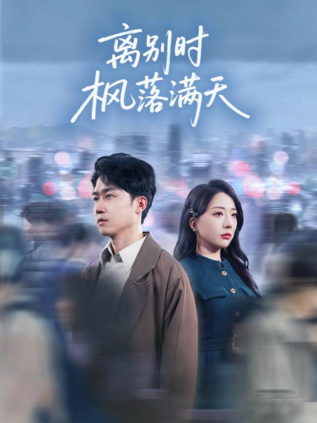 离别时枫落满天封面