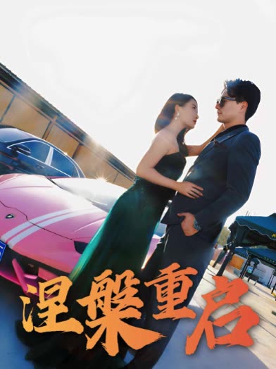 涅槃重启封面