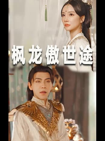枫龙傲世途封面
