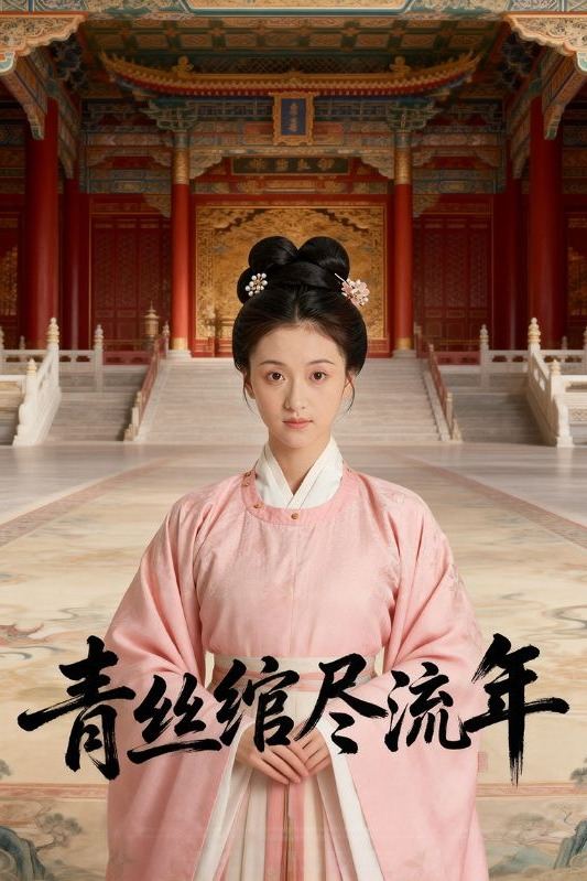 青丝绾尽流年封面