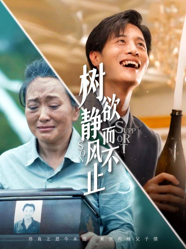 树欲静而风不止封面