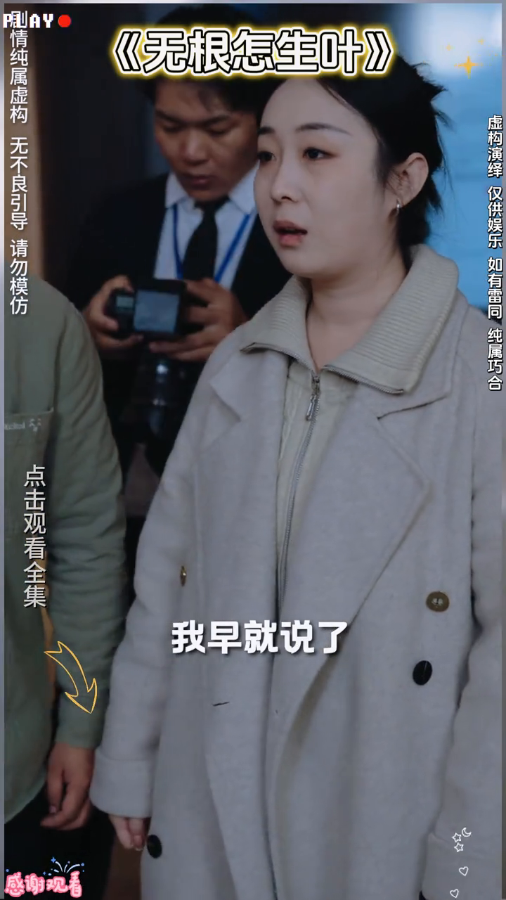 无根怎生叶封面