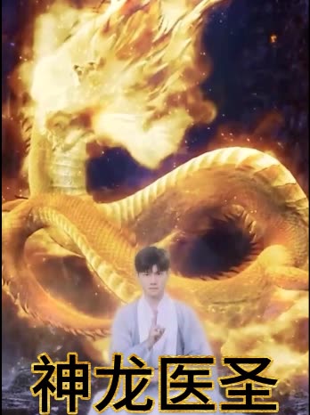 神龙医圣封面