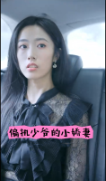 偏执少爷的小娇妻封面