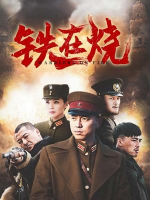 电视剧铁在烧(上)封面