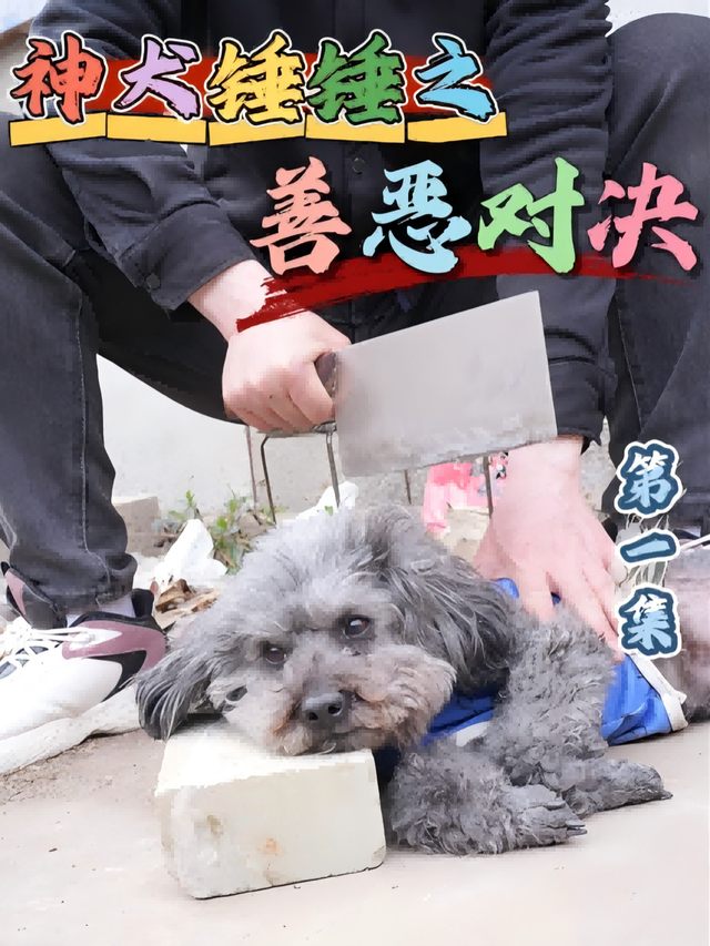 神犬锤锤之善恶对决封面