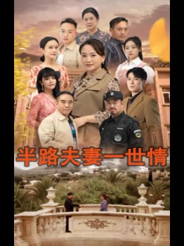 半路夫妻一世情封面