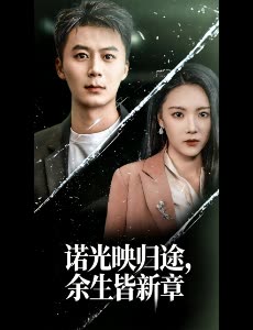 诺光映归途,余生皆新章封面