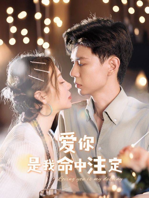 爱你,是我命中注定封面