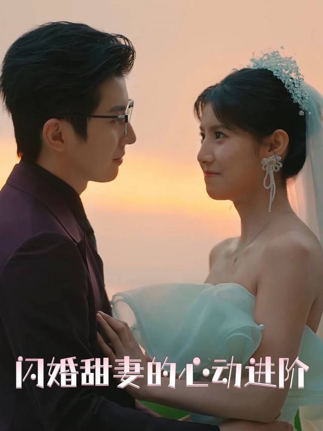 闪婚甜妻的心动进阶封面