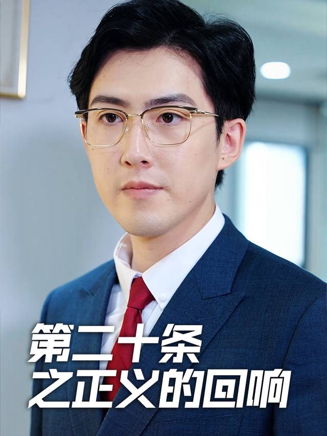 第二十条之正义的回响封面