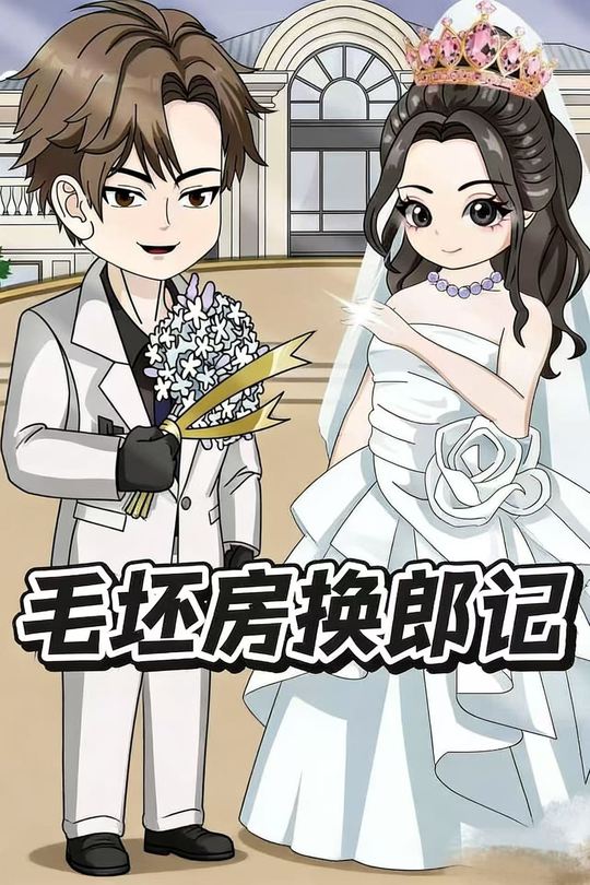 毛坯房换郎记封面