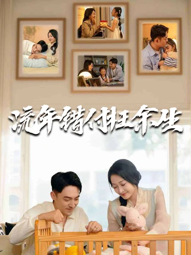 流年错付枉余生封面