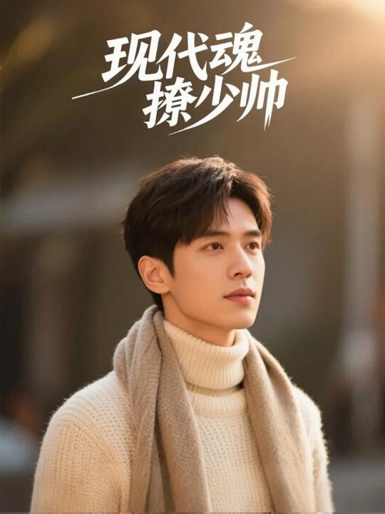 现代魂撩少帅封面