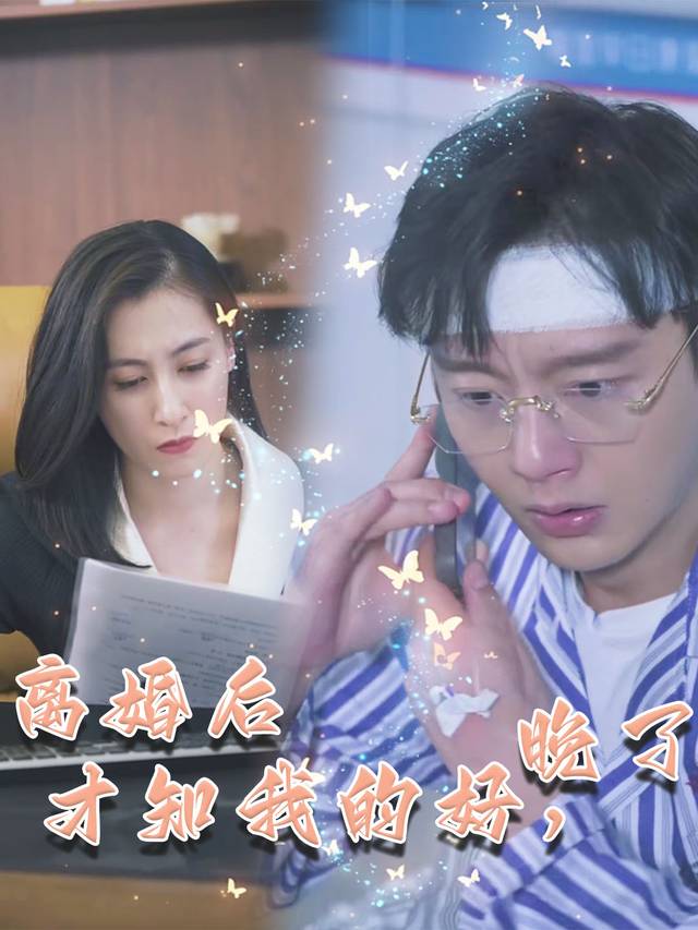 离婚后才知我的好,晚了封面
