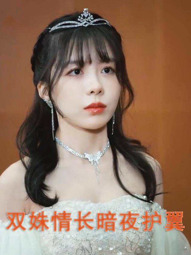 双姝情长暗夜护翼封面