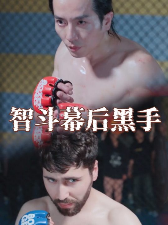 智斗幕后黑手封面