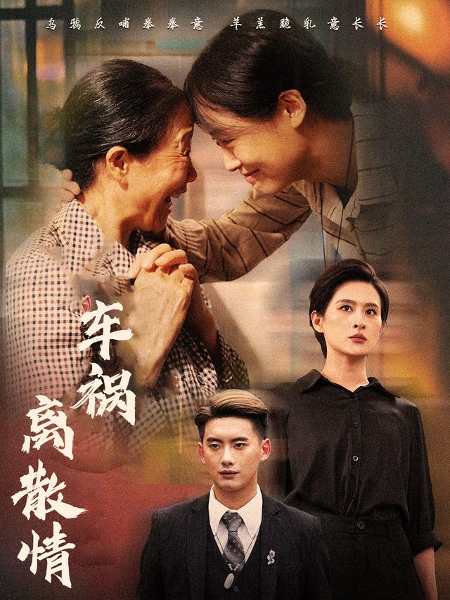 车祸离散情封面