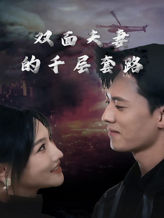 双面夫妻的千层套路封面