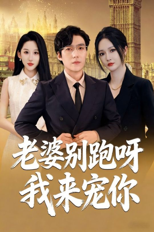 老婆别跑呀我来宠你封面