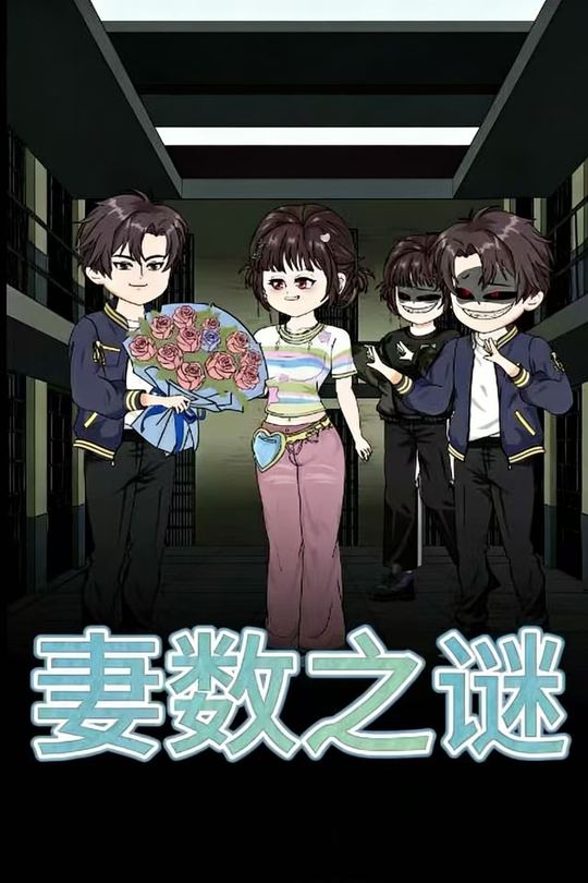 妻数之谜封面
