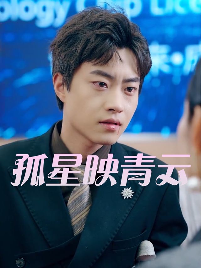 孤星映青云封面