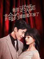 新郎逃婚后我的合约婚姻离不掉了封面