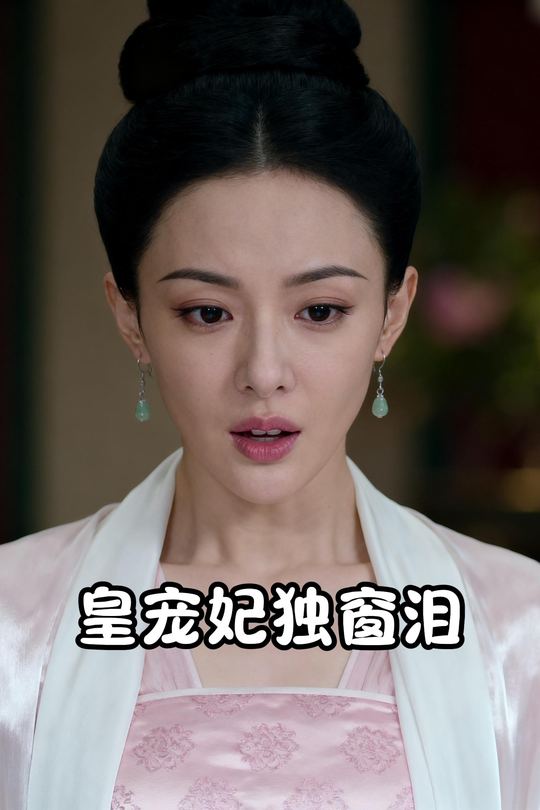 皇宠妃独窗泪封面