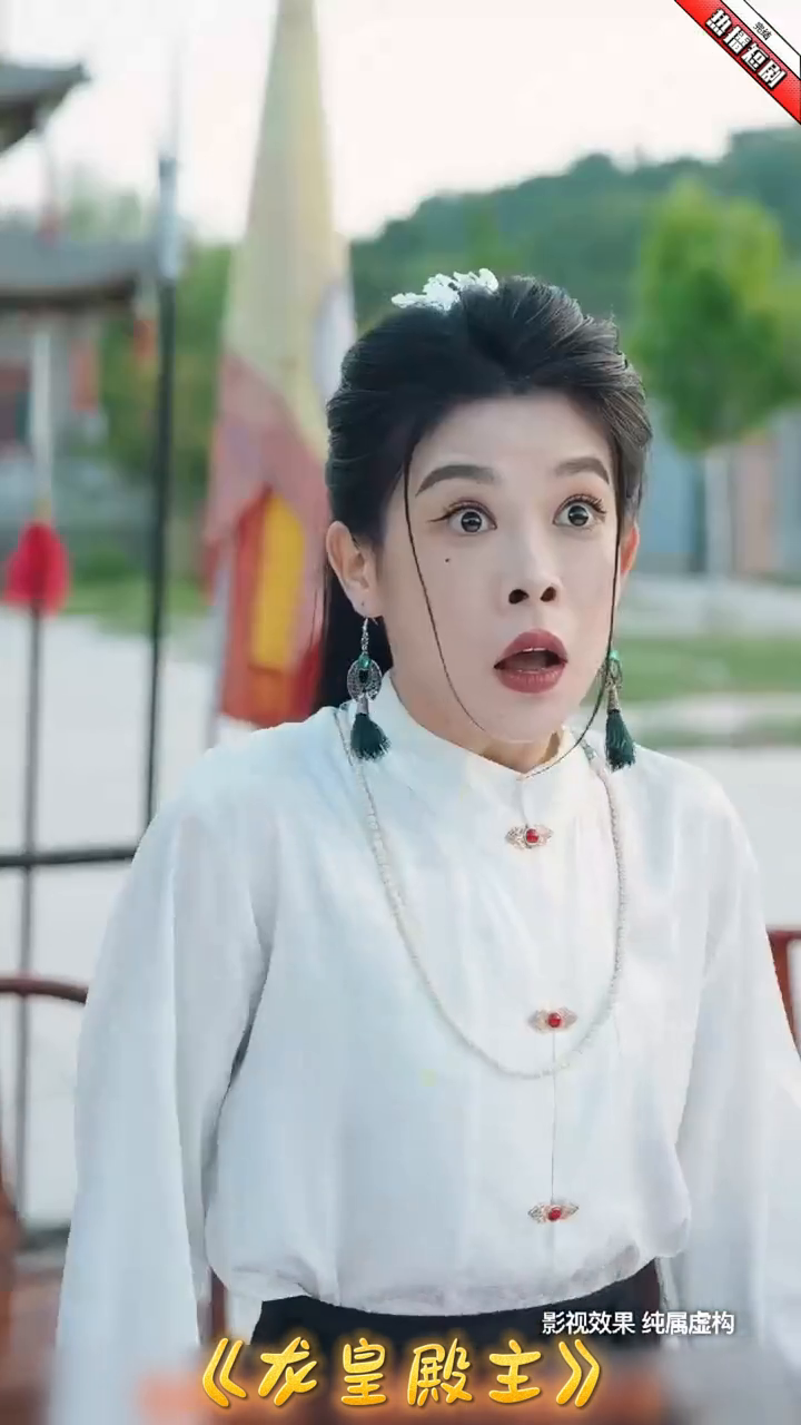 龙皇殿主封面