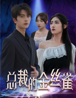 总裁的金丝雀封面